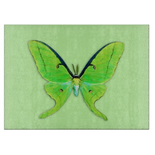 Luna moth op een bleke groene achtergrond snijplank (Voorkant)