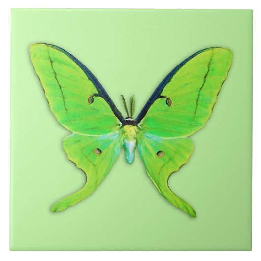 Luna moth op een bleke groene achtergrond tegeltje (Voorkant)