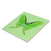 Luna moth op een bleke groene achtergrond tegeltje (Zijkant)