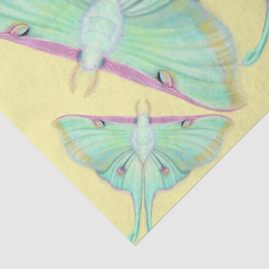 Luna Moth op geel Tissuepapier (Detail)