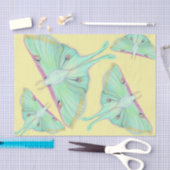 Luna Moth op geel Tissuepapier (Craft)