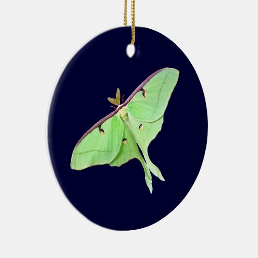 Luna Moth Ornament (Rechts)