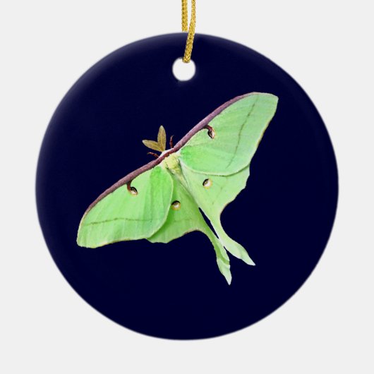 Luna Moth Ornament (Voorkant)