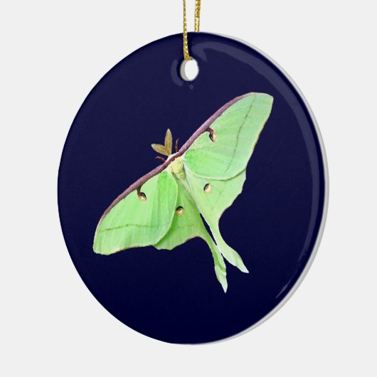Luna Moth Ornament (Links)