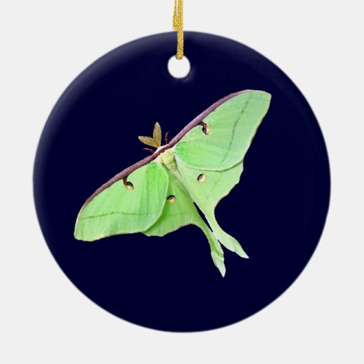 Luna Moth Ornament (Achterkant)