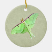 Luna Moth Ornament (Voorkant)