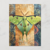 Luna Moth Painting Briefkaart (Voorkant)