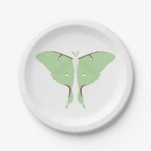 Luna Moth - Papieren Borden