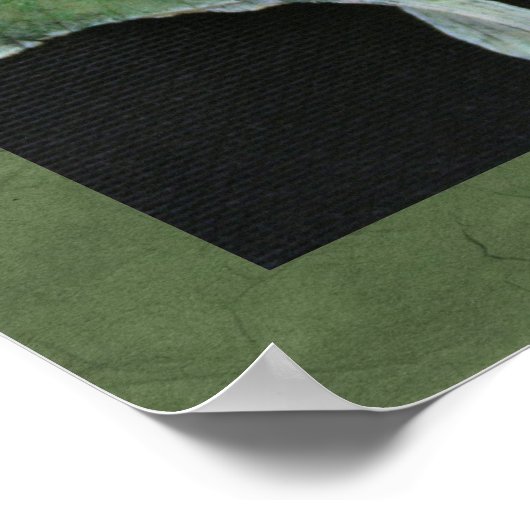 Luna Moth Photo Print (Hoek)