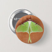 Luna Moth Pin Button (Voorkant /achterkant)
