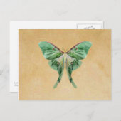 Luna Moth Post Card Briefkaart (Voorkant / Achterkant)