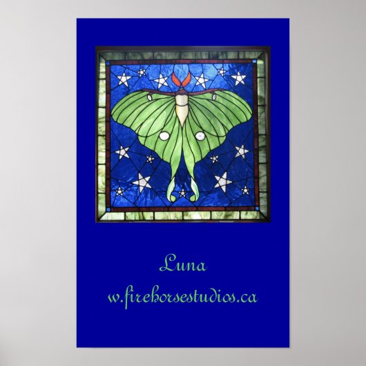 Luna Moth Poster (Voorkant)