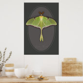 Luna Moth Poster -24x36 - andere beschikbare forma (Keuken)