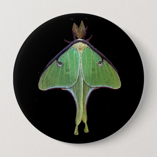 Luna Moth Ronde Button 4,0 Cm (Voorkant)