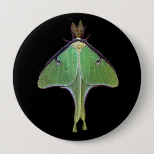 Luna Moth Ronde Button 4,0 Cm
