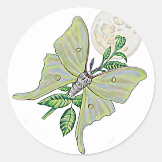 Luna Moth Ronde Sticker (Voorkant)