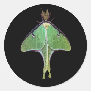 Luna Moth Ronde Sticker