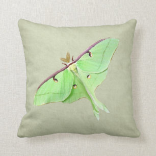 Luna Moth Sierkussen