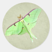 Luna Moth Sticker (Voorkant)