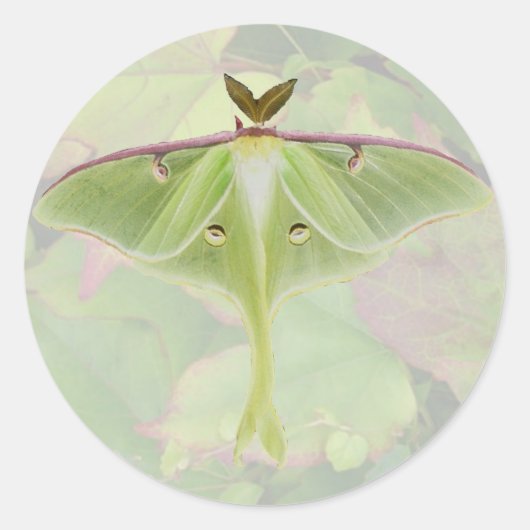 Luna Moth Stickers (Voorkant)