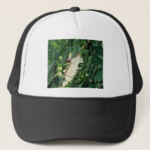 Luna Moth Trucker Pet