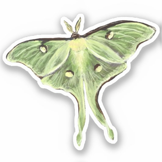 Luna Moth Vinyl Sticker (Voorkant)