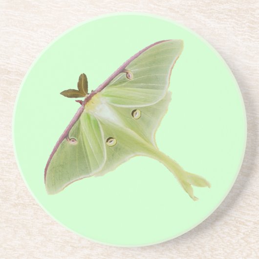 Luna Moth Zandsteen Onderzetter (Voorkant)