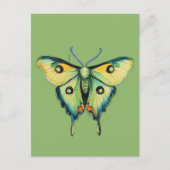 Luna-motschildering op groen briefkaart (Voorkant)