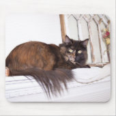 Luna Muismat (Voorkant)