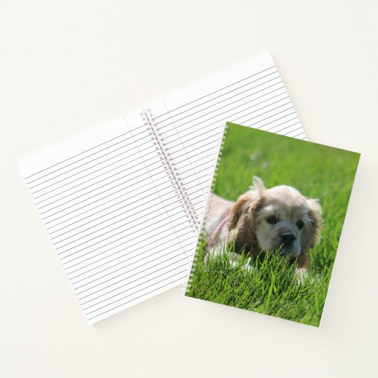 Luna Notitieboek (Binnen)