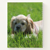 Luna Notitieboek (Achterkant)