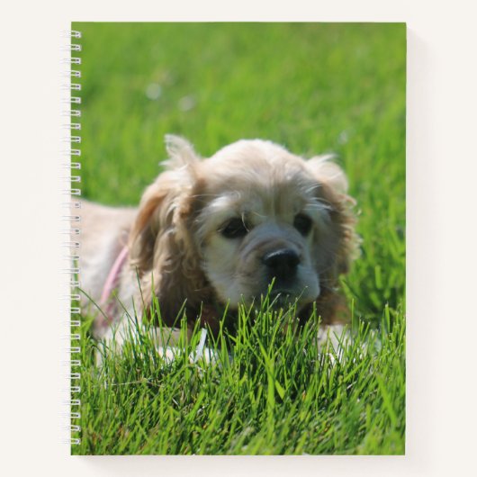 Luna Notitieboek (Voorkant)