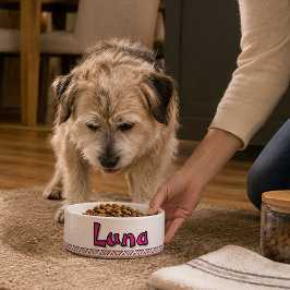 "LUNA" PERSOONLIJKE 25 OZ. KERAMISCHE HUISDIEREN VOERBAKJE