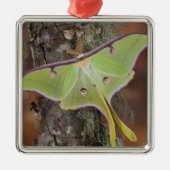 Luna Silk Moth Metalen Ornament (Voorkant)
