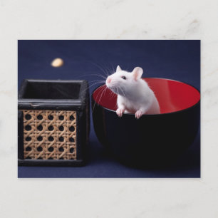 Luna Table Briefkaart