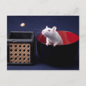 Luna Table Briefkaart (Voorkant)