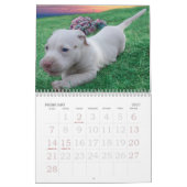 Luna the Saved Abandoned Puppy Dog Kalender (Feb 2027)