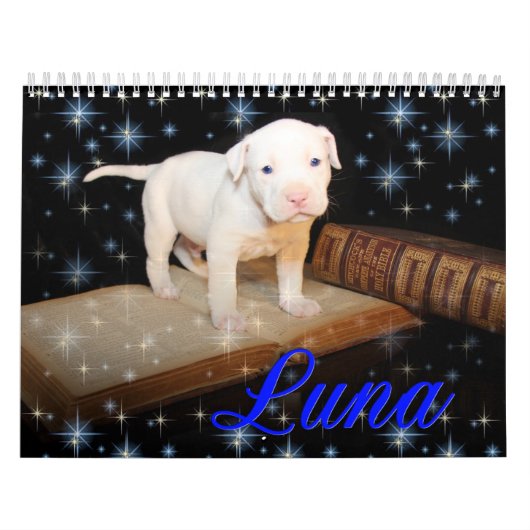 Luna the Saved Abandoned Puppy Dog Kalender (Hoes)