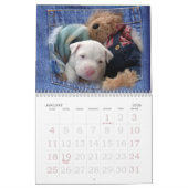 Luna the Saved Abandoned Puppy Dog Kalender (Jan 2026)