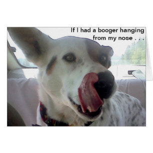 Luna zegt dat als ik een grotere jongen had van mi