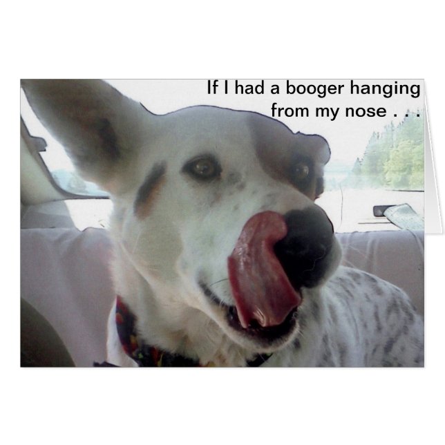 Luna zegt dat als ik een grotere jongen had van mi (Voorkant Horizontaal)