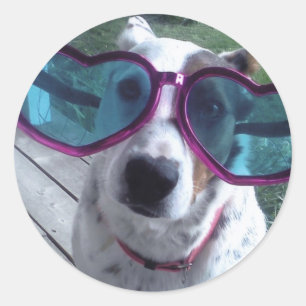 Luna zegt: "Slechte haardag? Haal grotere glazen" Ronde Sticker