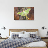 Luna Zijdevlinder Canvas Afdruk (Insitu (Slaapkamer))