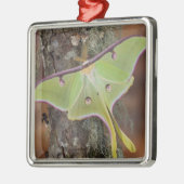 Luna Zijdevlinder Metalen Ornament (Links)