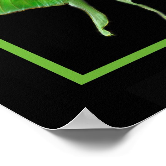 lunablackverticle, LunaonBlackframe Poster (Hoek)