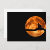 Lunar cat - Briefkaart (Voorkant / Achterkant)