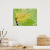 Lunar Caterstyle by Abbott Handerson Thayer Poster (Keuken)