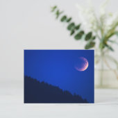 Lunar Eclipse over bos | Zug, Zwitserland Briefkaart (Staand voorkant)