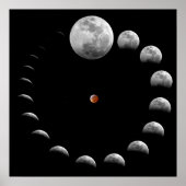 Lunar Moon Phases Poster (Voorkant)