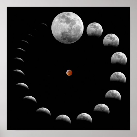 Lunar Moon Phases Poster (Voorkant)